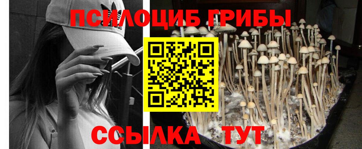 Галлюциногенные грибы GOLDEN TEACHER  Вход с VPN  Галлюциногенные грибы Psilocybine cubensis  Ярцево 